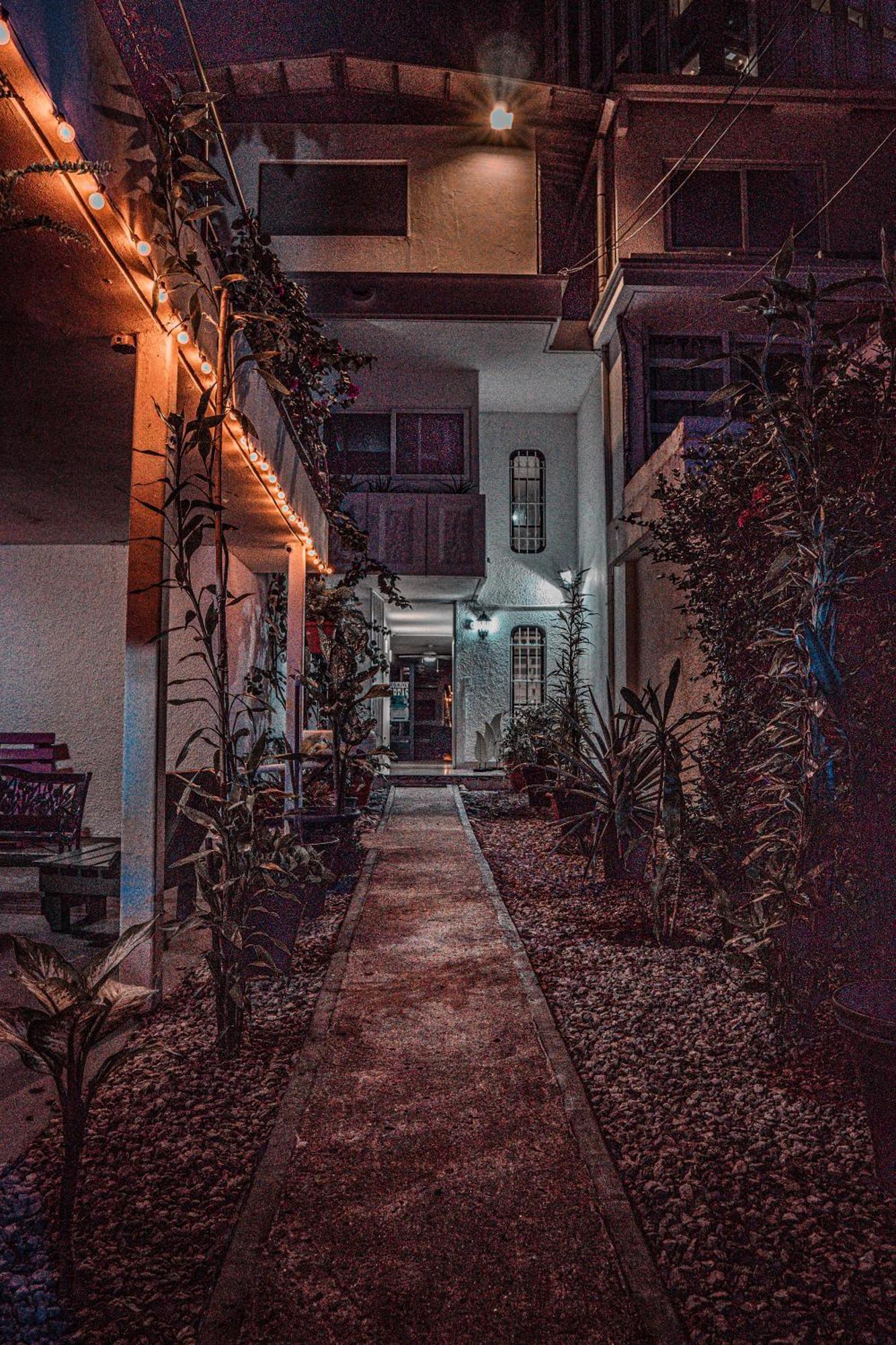 Loco Coco Loco * Ciudad de Panamá